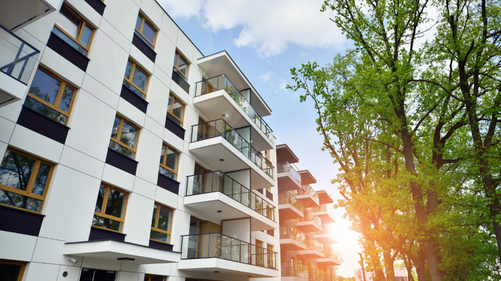 Apartments for rent in a new development
